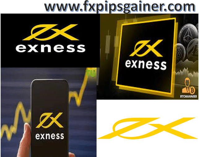 Exploring Exness Egypt A Comprehensive Guide