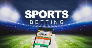 Casino Software Providers Reviewed 24