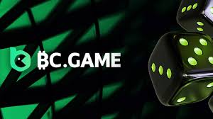 Understanding the Importance of Your BC Game ID in Online Gaming 14